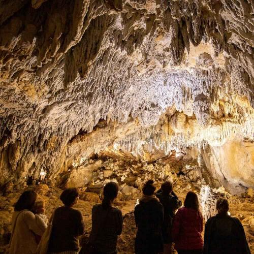 cuevasurdax